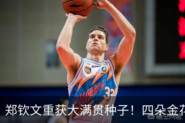 郑钦文重获大满贯种子！四朵金花本周位居TOP100